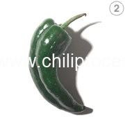 2 Poblano Pepper 2 Poblano Pepper